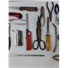 Image 3 : Assorted Tools - Wire Brush, Pliers, Chisel, Misc