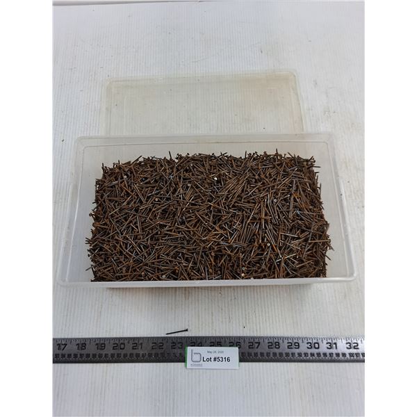 Bulk Tote of 1" Nails - Pickup Only