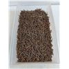 Image 3 : Bulk Tote of 1" Nails - Pickup Only