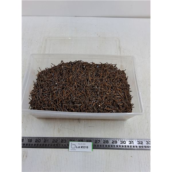 Bulk Tote of 1" Nails - Pickup Only
