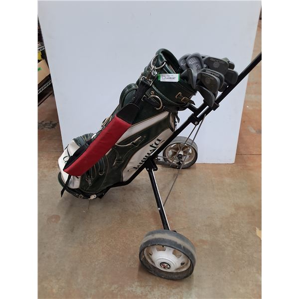 * Vintage Set of Right-Handed Golf Clubs Irons (Mostly Northwestern) with Augusta Bag & Cart