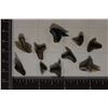 Image 1 : 10 ASSORTED SHARK TEETH SEE PICTURES