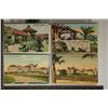 Image 4 : 25 SANTA BARBARA CALIFORNIA VINTAGE POSTCARDS