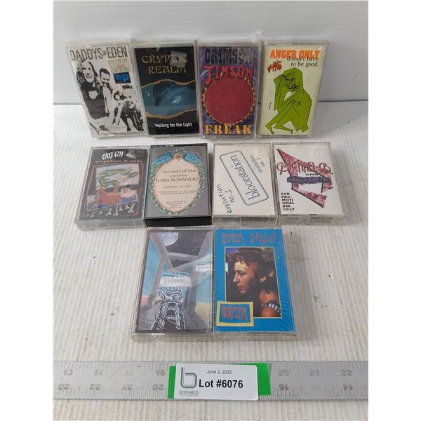(10) Assorted New Cassette Tapes