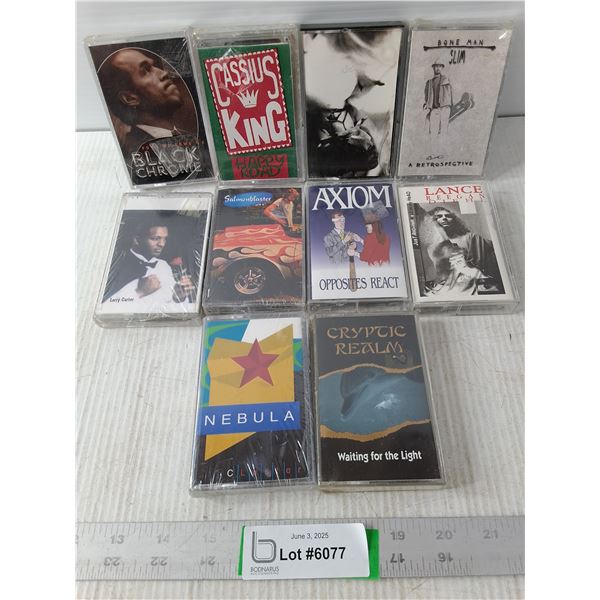 (10) Assorted New Cassette Tapes