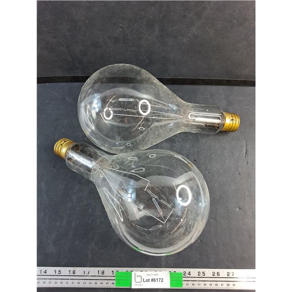 (2)  Large Light Bulbs - New