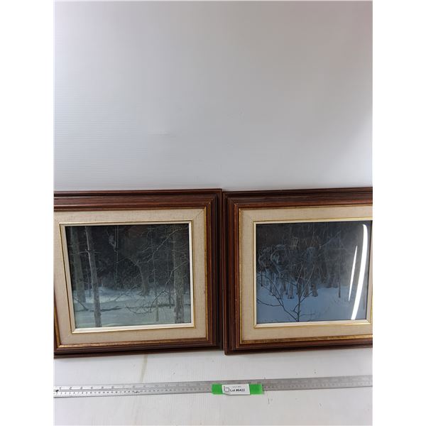 (2) Wood Framed Pictures