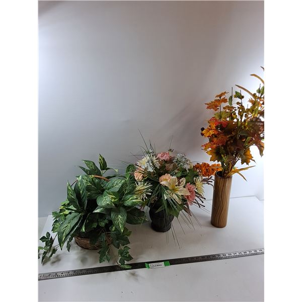 (3) Decorative Plants