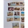Image 2 : Rat Patrol - Lot of 42 Different Collector Cards - Topps 1966