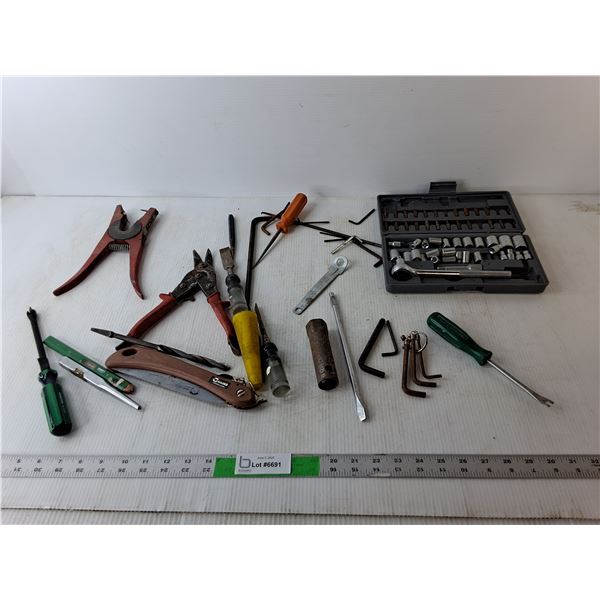 Tool Lot- Allan Keys, Ratchet Set, Ear Tag Pliers, Misc.