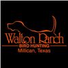 Image 2 : 1 Day Quail Hunt for 4 Hunters- Millican Texas