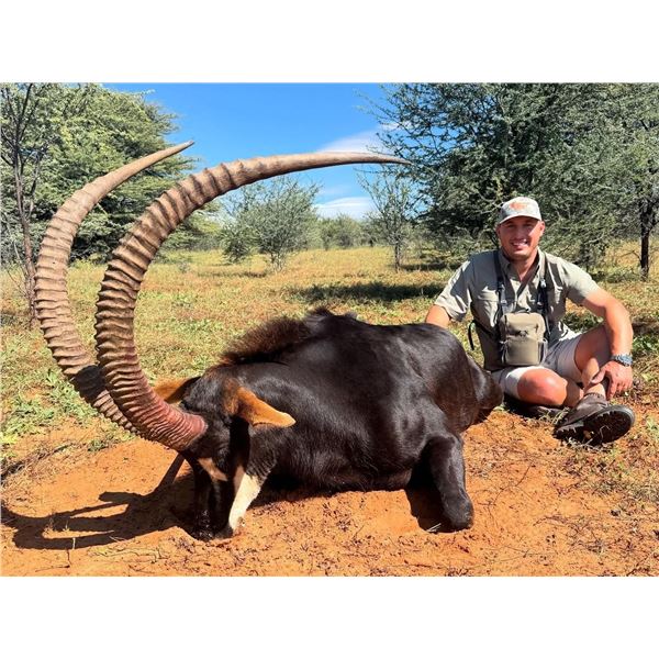 10 Safari- 2 Hunters/2 Gold Medal Sable Bulls Each- NW Province