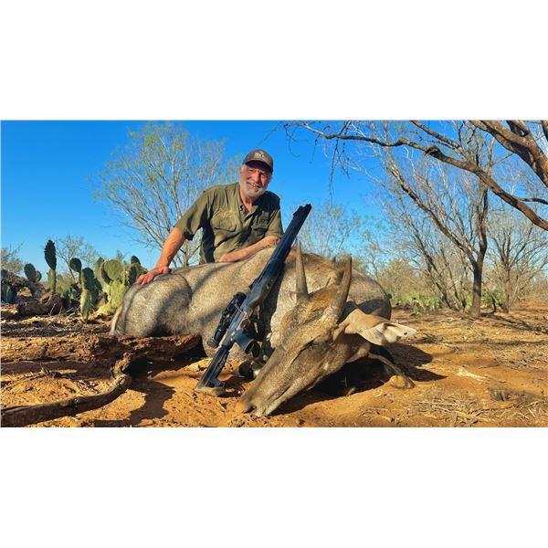 Texas Nilgai Bull Hunt at G2 Ranch Filmed for an Episode of The High Road with Keith Warren