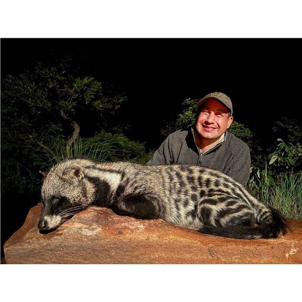 African Night Cat Hunt/ Plains Game COMBO