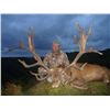 Image 1 : NZ Stag Hunt for 2 Hunters