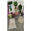 Image 2 : Outdoor Furniture, Metal Chairs, Clear Acrylic Chair, 3 Plants, 2 Rugs, Sun Shade, 3 Umbrellas