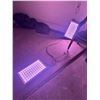Image 3 : Contents of Room