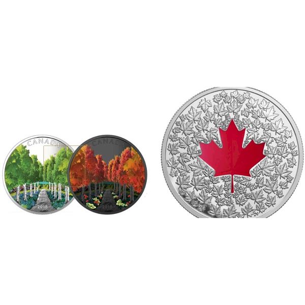 2013 $20 Fine Silver Coin Maple Leaf Impression and 2018 Maple Leaf Tunnel, lot of 2 coins.