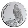 Image 1 : 2019 $20 Fine Silver Coin- The Valiant One-Bald Eagle, lot of 5 coins.