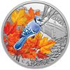 Image 1 : 2021 $20 Colourful Birds: Blue Jay - Pure Silver Coin.  Tax Exempt.