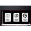 Image 1 : USA; 2006 $1 American Eagle 20th Anniversary Silver Coin Set, W PF69, P Reverse PF69 & 2006 W MS69. 