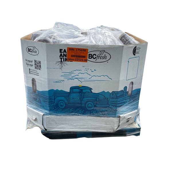 Surprise Pallet of Big Box Retail Merchandise