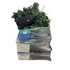 Image 1 : Pallet of Estate Items – Includes artificial Christmas trees, totes, luggage, household ite