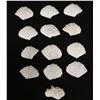 Image 1 : Qty 13 Clam Shells, Misc Sizes