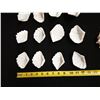 Image 8 : Qty 13 Clam Shells, Misc Sizes