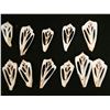 Image 3 : Qty 15 Center Cut Strombus Shells, Misc Sizes