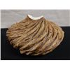 Image 1 : Ceramic Art Pottery "Wood Drift" Textured Vase by Anne Goldman  7" Dia, 5"H