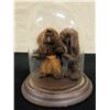 Image 1 : Qty 2 Nature Tree Trolls in Glass Display 6" Dia, 7.5"H