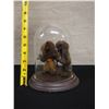 Image 7 : Qty 2 Nature Tree Trolls in Glass Display 6" Dia, 7.5"H