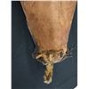 Image 14 : Wooden Bearded Mask Wall Hanging from New Guinea 35" x 12" x 5"