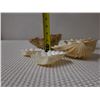 Image 8 : Qty 5 Natural Clam Shells, Misc Sizes
