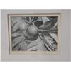 Image 2 : Ulu Nani Print by Maile Ka'ai,  Wood Framed 16" x 13"