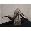 Image 2 : Mamane Wood (Hawaiian Hardwood) by Artist Paul Fix w/ Wood & Lava Base from Hawaii Island 21"L, 15"H