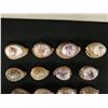 Image 2 : Qty 20 Shells: Decorated, Turbinella, etc Misc Sizes