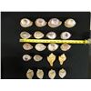 Image 8 : Qty 20 Shells: Decorated, Turbinella, etc Misc Sizes