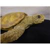 Image 2 : Classic Critters Carved Wooden Turtle Signed by Artist 13.5" x 14" x 5"H
