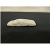 Image 8 : Qty 3 Stone & Coral Adze Heads, Misc Sizes