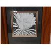 Image 2 : Night Blooming Ceres Print B&W by Maile Kaai-Cockett, Koa Wood Framed 11" x 13"