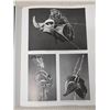 Image 25 : Oceanic Art Book by Adrienne Kaeppler, Christian Kaufmann & Douglas Newton, Illustrated