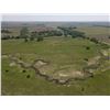 Image 11 : 240 +/- Acres of Reno Co, KS Native Grass with live Creek and Pond