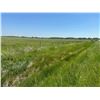Image 13 : 240 +/- Acres of Reno Co, KS Native Grass with live Creek and Pond