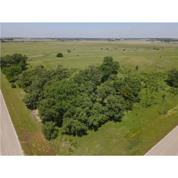 240 +/- Acres of Reno Co, KS Native Grass with live Creek and Pond