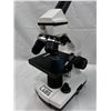 Image 2 : Celestron Microscopes