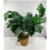Image 1 : Artificial Potted Monstera