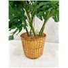 Image 2 : Artificial Potted Monstera