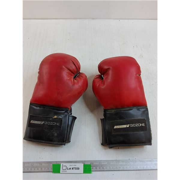 Gozone Boxing Gloves